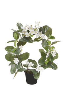 Emerald Kunstplant in pot Stephanotis Ring wit 40cm