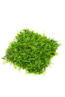 Emerald Kunst Plantenwand Varen/juniperus UV 50x50cm