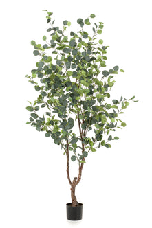 Emerald Kunstboom Eucalyptus 180cm