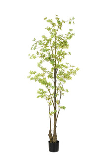 Emerald Kunstboom Tropaeolum 210cm