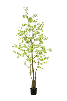 Emerald Kunstboom Tropaeolum 245cm