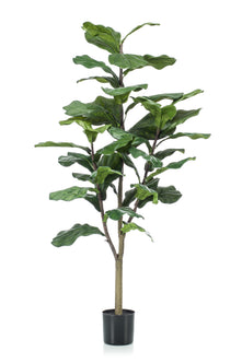 Emerald Kunstboom Ficus Lyrata 120cm