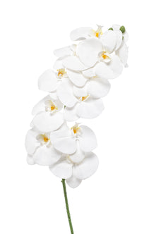 Emerald Kunstbloem Phalaenopsis wit 100cm