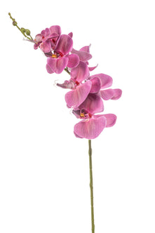 Emerald Kunstbloem Phalaenopsis fuchsia 84cm
