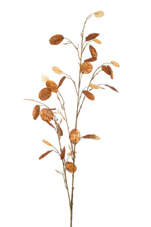 Emerald Kunstbloem Judaspenning 120cm bruin