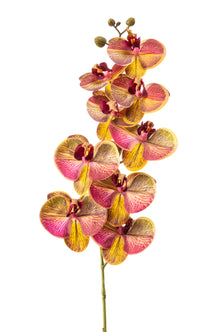 Emerald Kunstbloem Phalaenopsis RT 95cm geel/roze