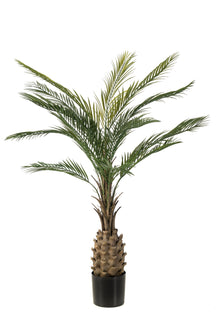 Emerald Kunstboom Palm UV 150cm
