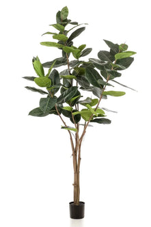 Emerald Kunstboom Ficus Elastica 210cm