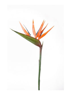 Emerald Kunstbloem Paradijsvogelbloem 90cm oranje