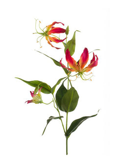 Emerald Kunstbloem Gloriosa 75cm geel