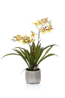 Emerald Kunstplant in pot Oncidium geel 45cm