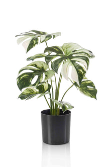 Emerald Kunstplant in pot Monstera 40cm