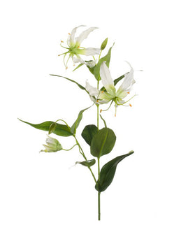 Emerald Kunstbloem Gloriosa 75cm wit