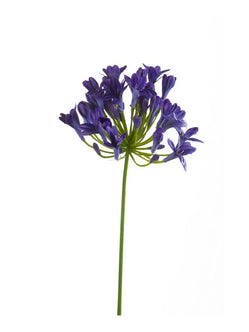 Emerald Kunstbloem Agapanthus 75cm blauw