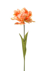 Kunst Tulp