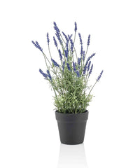 Kunst Lavendel