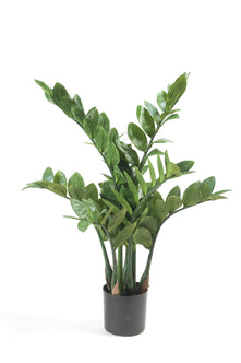 Emerald Kunstplant Zamioculcas 70cm