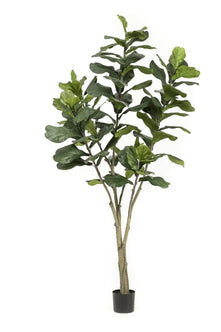 Emerald Kunstboom Ficus Lyrata 210cm