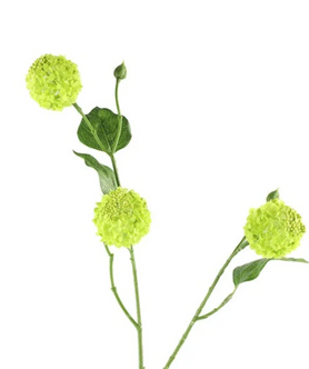 Everplant Kunstbloem Viburnum Groen 68 cm
