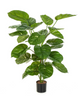 Everplant Kunstplant Pothos Plant 115 cm