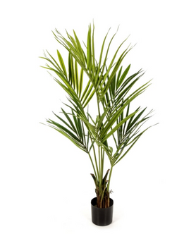 Everplant Kunstplant Kentia Palm 140 cm