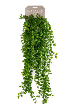 Emerald Kunst Hangplant Ficus Pumila 80cm