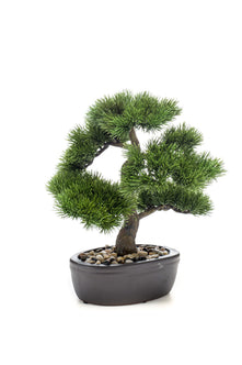 Mica Decorations kunstplant Bonsai 33 x 17 x 26 cm kopen Mica Decorations kunstplant Bonsai 33 x 17 x 26 cm kopen