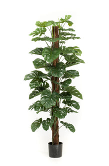 Emerald Kunstplant Monstera op paal 180cm