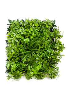 Emerald Kunst Plantenwand Schefflera UV 50x50cm