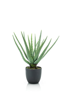 Emerald Kunstplant in pot Aloe Vera 35cm