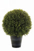 Emerald Kunstplant Buxus bol in pot UV 53cm