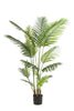 Emerald Kunstplant Paradise Palm 160cm