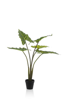 Emerald Kunstplant Alocasia Frydek 80cm