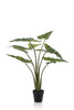 Emerald Kunstplant Alocasia Frydek 100cm
