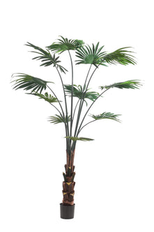 Emerald Kunstplant Livistona Palm 180cm