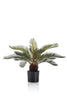 Emerald Kunstplant Cycas Palm 55cm