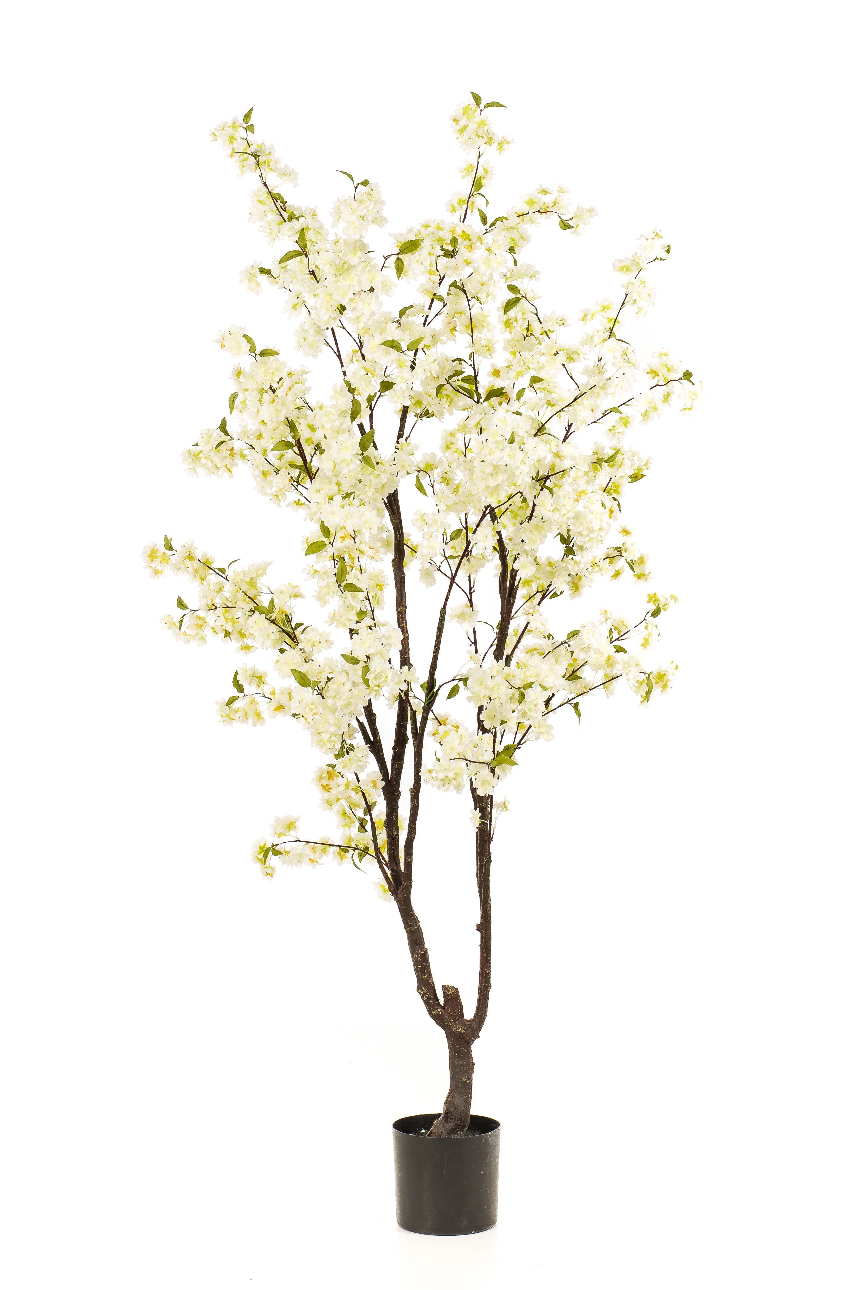 Kunst Kersenbloesem | Kunstplanten Kunst Kersenbloesem | Kunstplanten