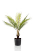 Emerald Kunstplant Chamaedorea Palm 50cm