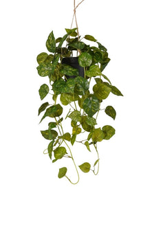 Emerald Kunst Hangplant Scindapsus in pot groen/geel 70cm