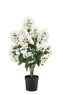 Emerald Kunstplant Sering int pot UV 65cm wit