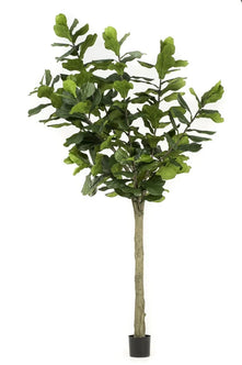 Emerald Kunstboom Ficus Lyrata 300cm