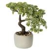 Kunst bonsai