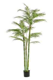 Emerald Kunstplant Areca Palm 195cm