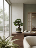 Emerald Kunstplant Bonsai Ficus mini 32cm