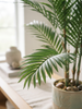Emerald Kunstplant Chamaedorea Palm 85cm
