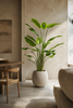 Emerald Kunstplant Strelitzia Nicolai 235cm