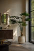 Emerald Kunstplant Livistona Palm 150cm