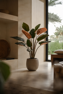 Emerald Kunstplant Philodendron 120cm bordeaux