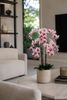 Emerald Kunstplant in pot Phalaenopsis roze 100cm