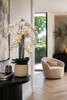 Emerald Kunstplant in pot Phalaenopsis roze 100cm